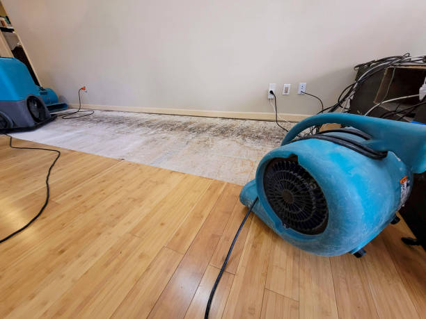 Professional Water Extraction technician working in Winchester, MA